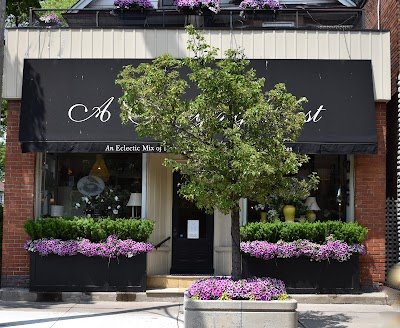 A Changing Nest A Changing Nest